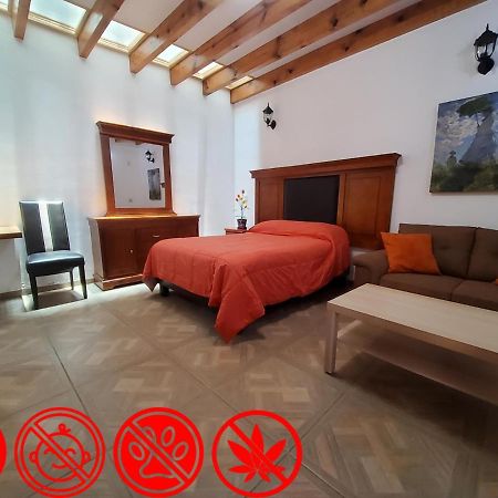 Villa Alfonsina Mexico By Eksteriør billede